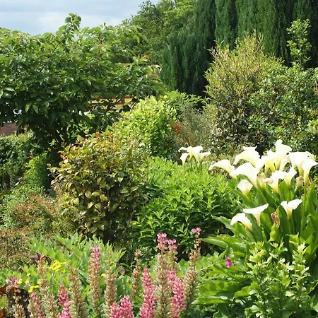Easdale Ballyduff Hill