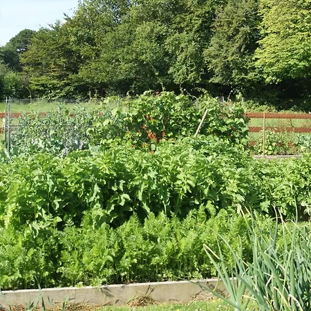 Easdale Bed & Breakfast *