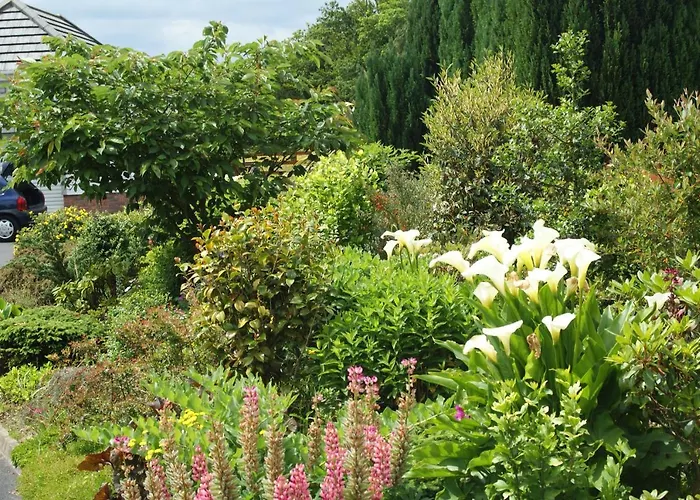 Easdale Ballyduff Hill