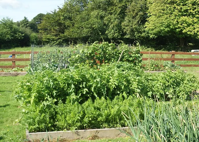 Easdale Bed and Breakfast *