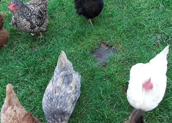 Bed and Breakfast Easdale Ballyduff Hill